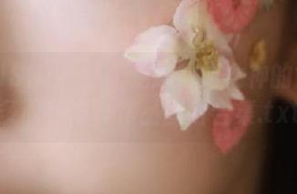 SHENSHI绅士 – 走进MM女神的世界：多面性写真作品图片合集.txt