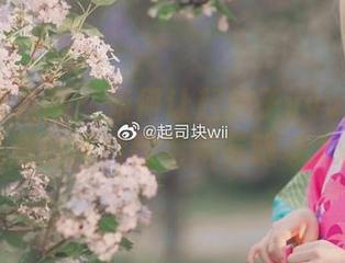 定制写真指南：如何让起起子vvvv和爱宕泳装的图片惊艳所有眼球.txt